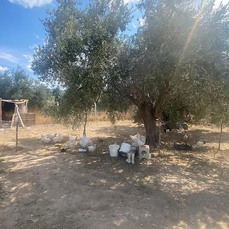 Anve Olive Tiny House * Ören